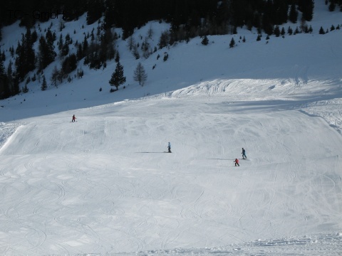 IMG_2929.JPG