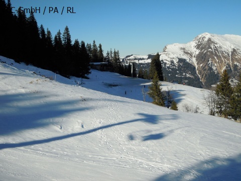 DSCN0704.JPG