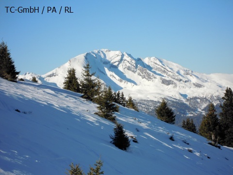 DSCN0706.JPG