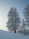 DSCN2695.JPG